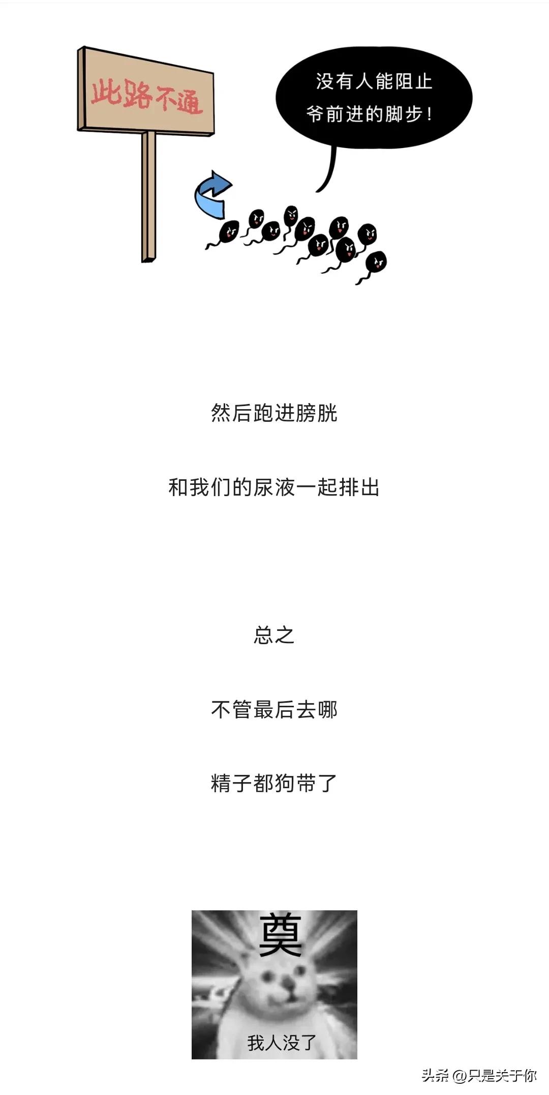 那些男人硬憋回去的“精子”都跑哪去了？这个操作伤身体吗？漫画