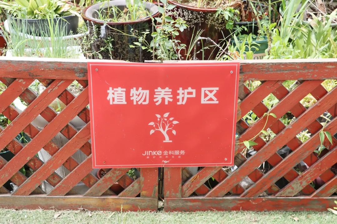 金科王府物业服务怎么样,金科王府小区品质