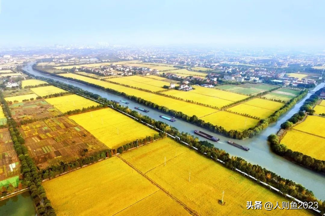 2023年中国农业农村报告,2022农业农村发展趋势