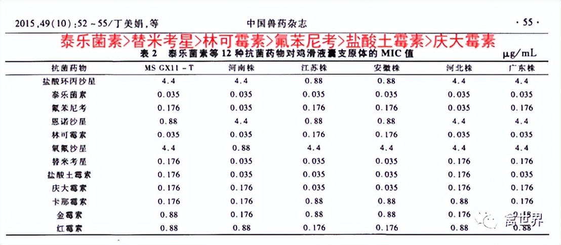 怎么快速检测蛋鸡滑液囊支原体,鸡的滑液囊支原体如何防控
