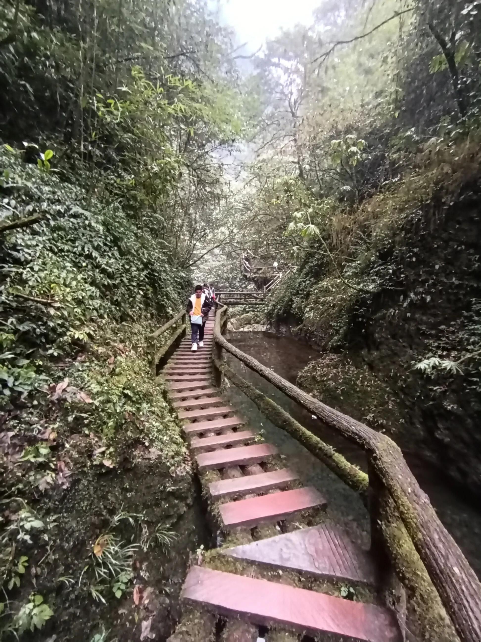 泰安古镇到青城后山,青城后山景区导览图