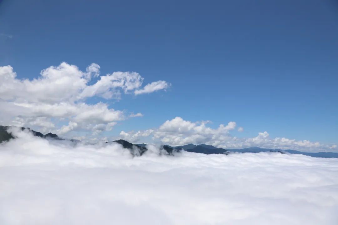 机票价格大跳水错峰出游正当时,错峰出游正当时旅游市场淡季不淡