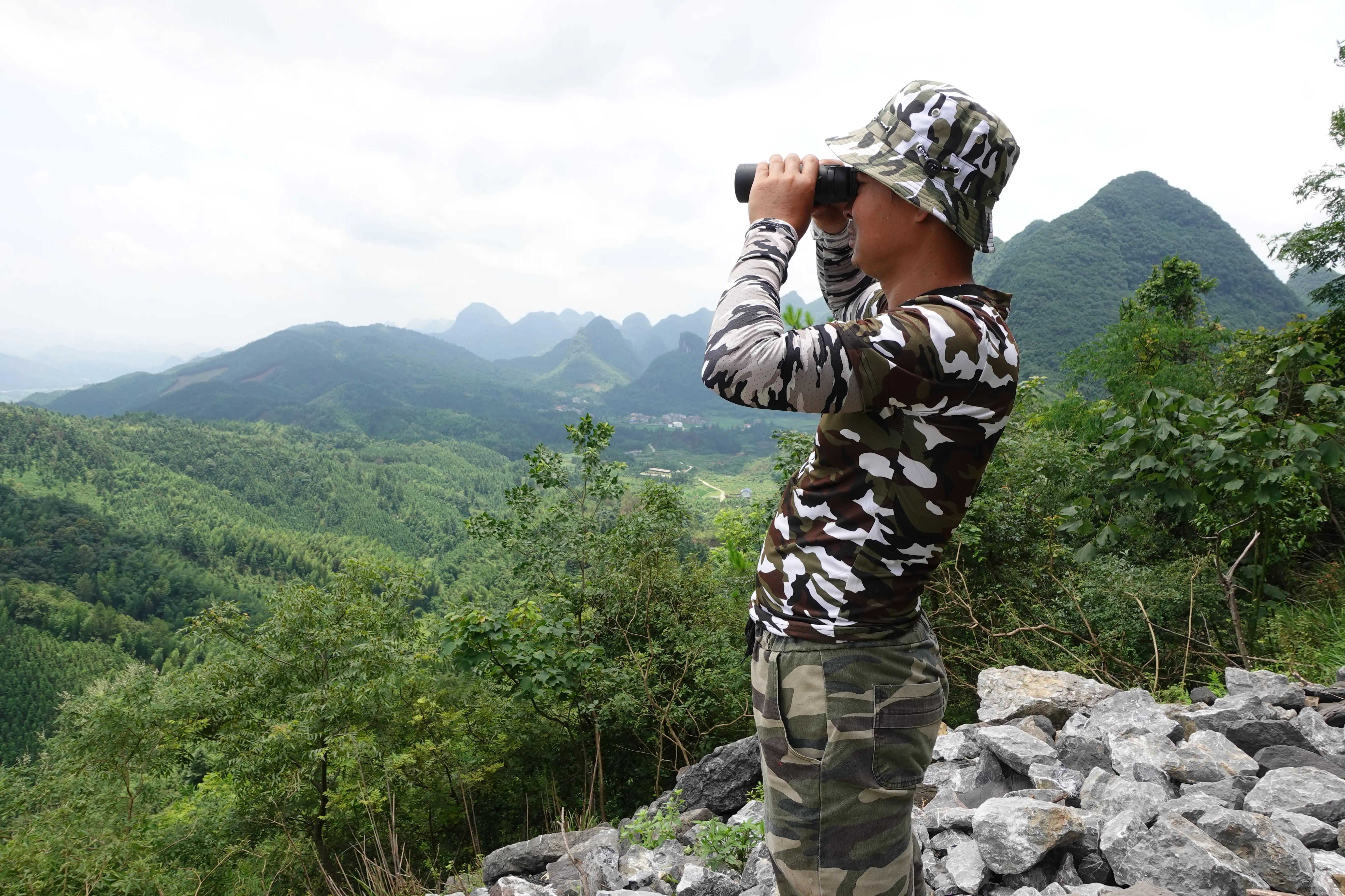 望远镜找蜜蜂方法多少钱,望远镜找蜜蜂绝招