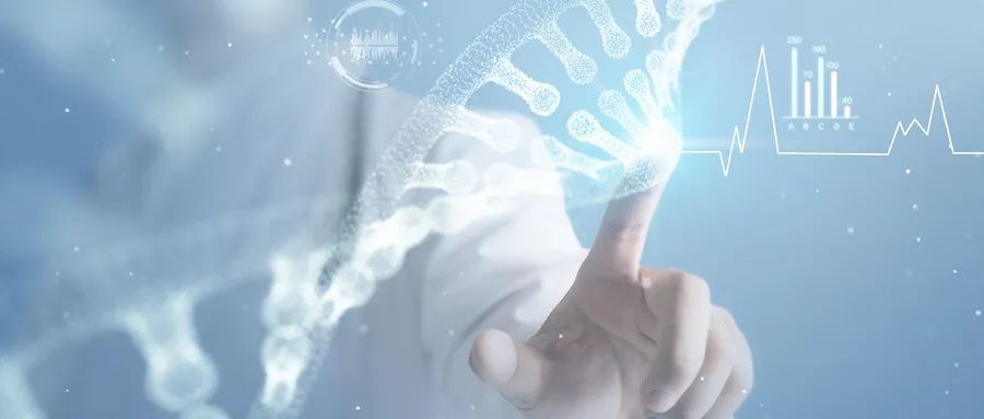 康复医疗布局,康复医疗项目