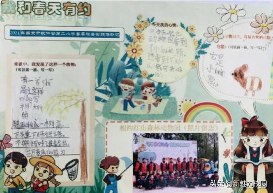 软件谷二小学区,软件谷二小怎么样