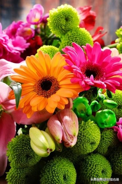 3月15日早安每日问候祝福语,三月最美早安祝福语