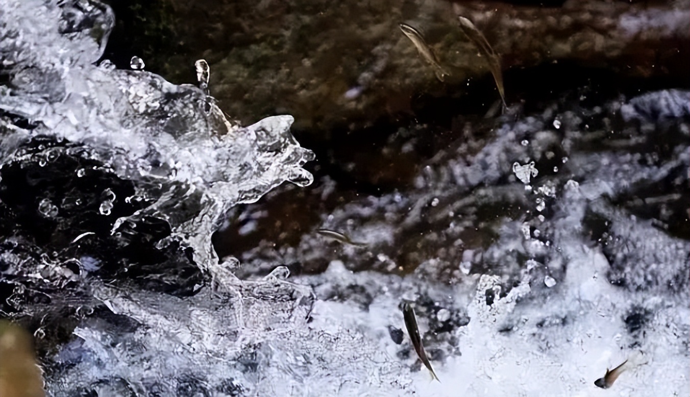 在汉中六一适合带孩子吃什么,提醒幼儿注意身体六一