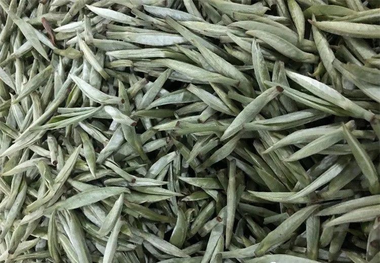 原祖山茶叶怎么样?原祖山茶叶属于什么档次?