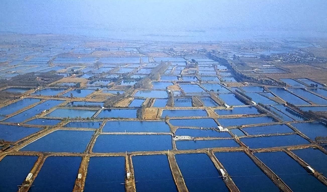 2024年做水产养殖业有前途吗,从事水产养殖行业的前景