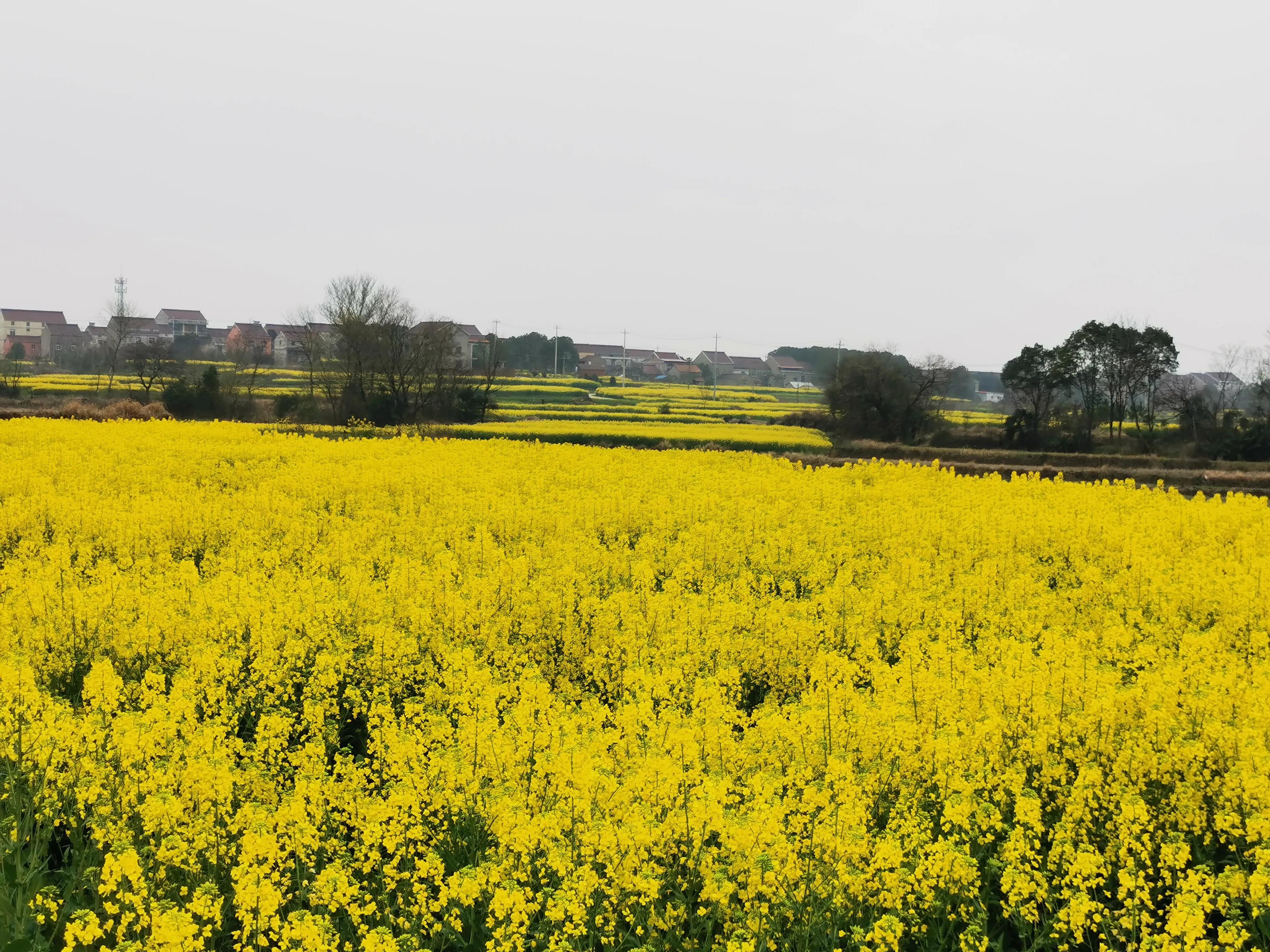 这里是人间仙境歌词,这里是人间仙境