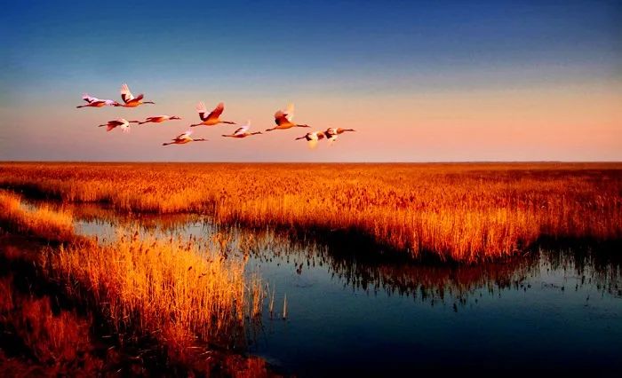 八大碗咸嘉店,盐城最正宗八大碗