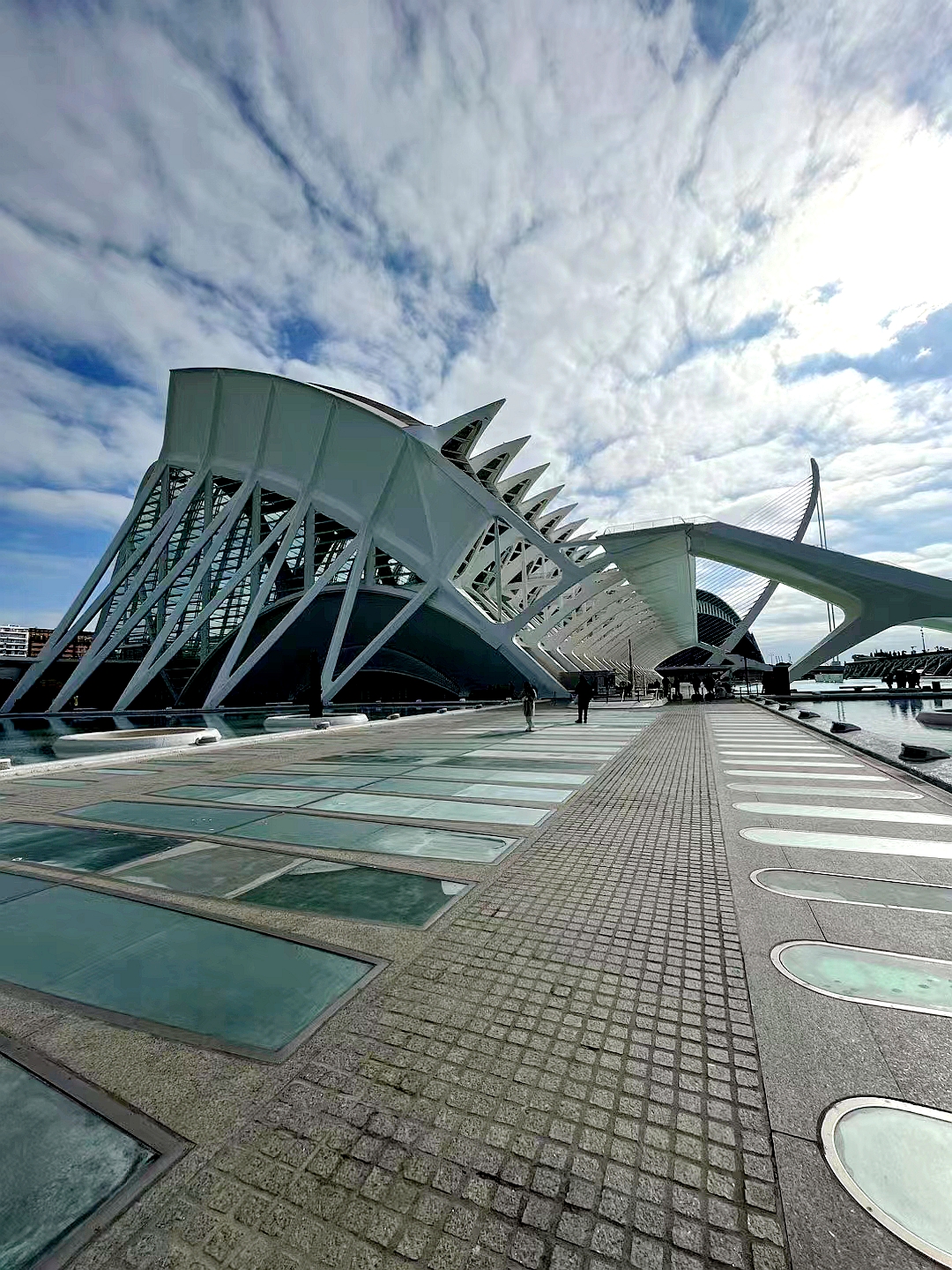 彩色旅图·西欧纪行｜瓦伦西亚的情人节，小贩在饭店外面卖鲜花