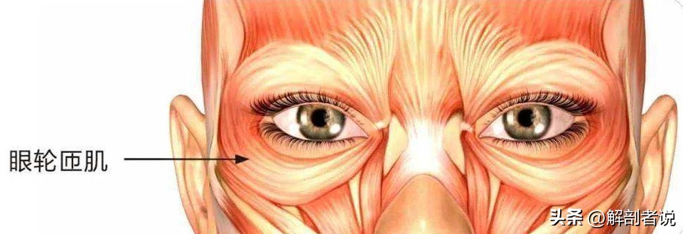 人体解剖尸体怕什么,人体解剖尸体的真相