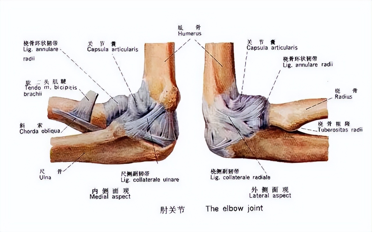 功夫咋就越学越乱呢?记住这*合六**三劲让你事半功倍