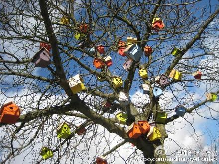 滑雪装备板,滑雪板单板的装备