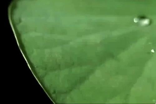 中年女人保养护肤的最好方法,中年人如何护肤最关键