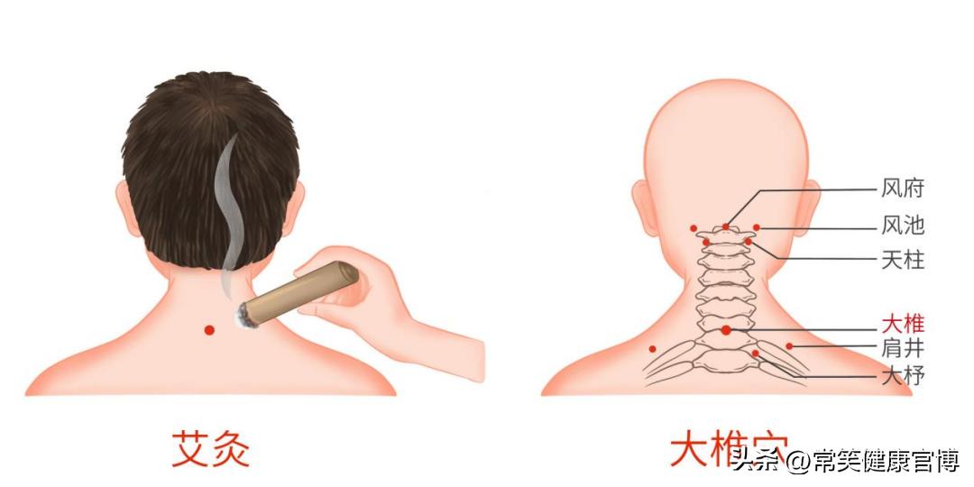 看了《后浪》才知道，端午节必备的艾草，原来一个夏天都这么有用