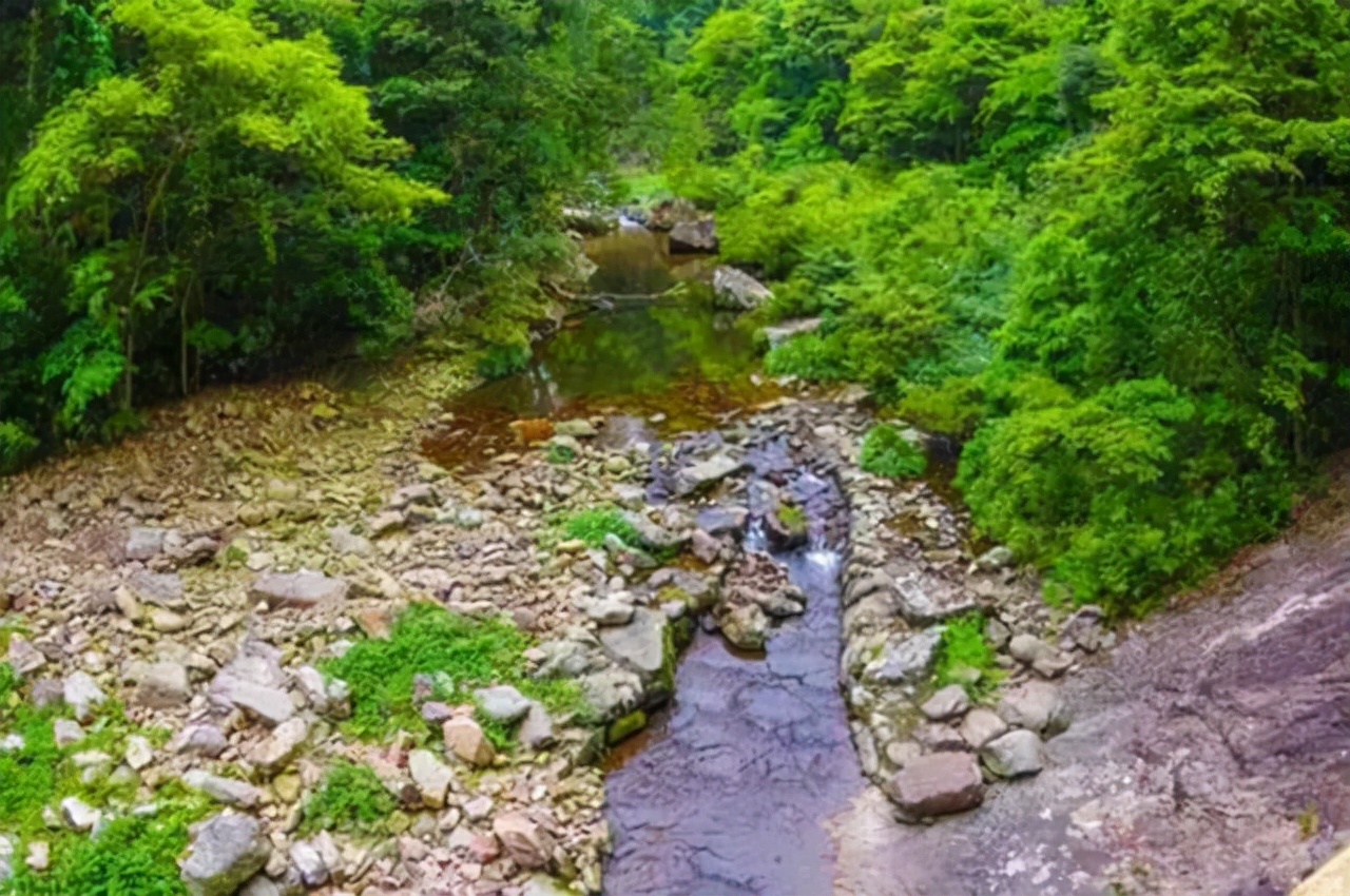 中国烟王第一名,中国烟王酒王