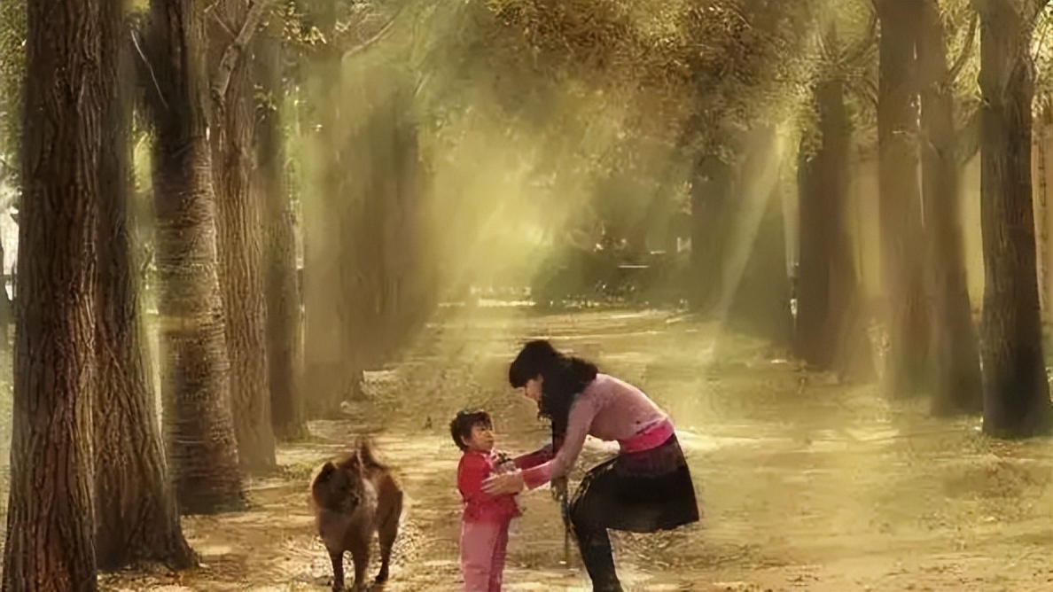 苦寻32年打拐妈妈与儿子团聚,打拐妈妈寻子完整版