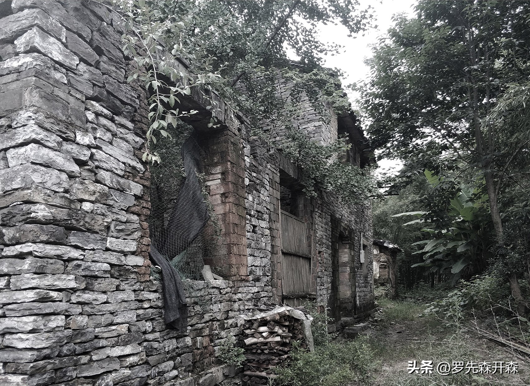 残破倒塌的石房与土屋的改造新生，杭州——让建筑空间与自然对话