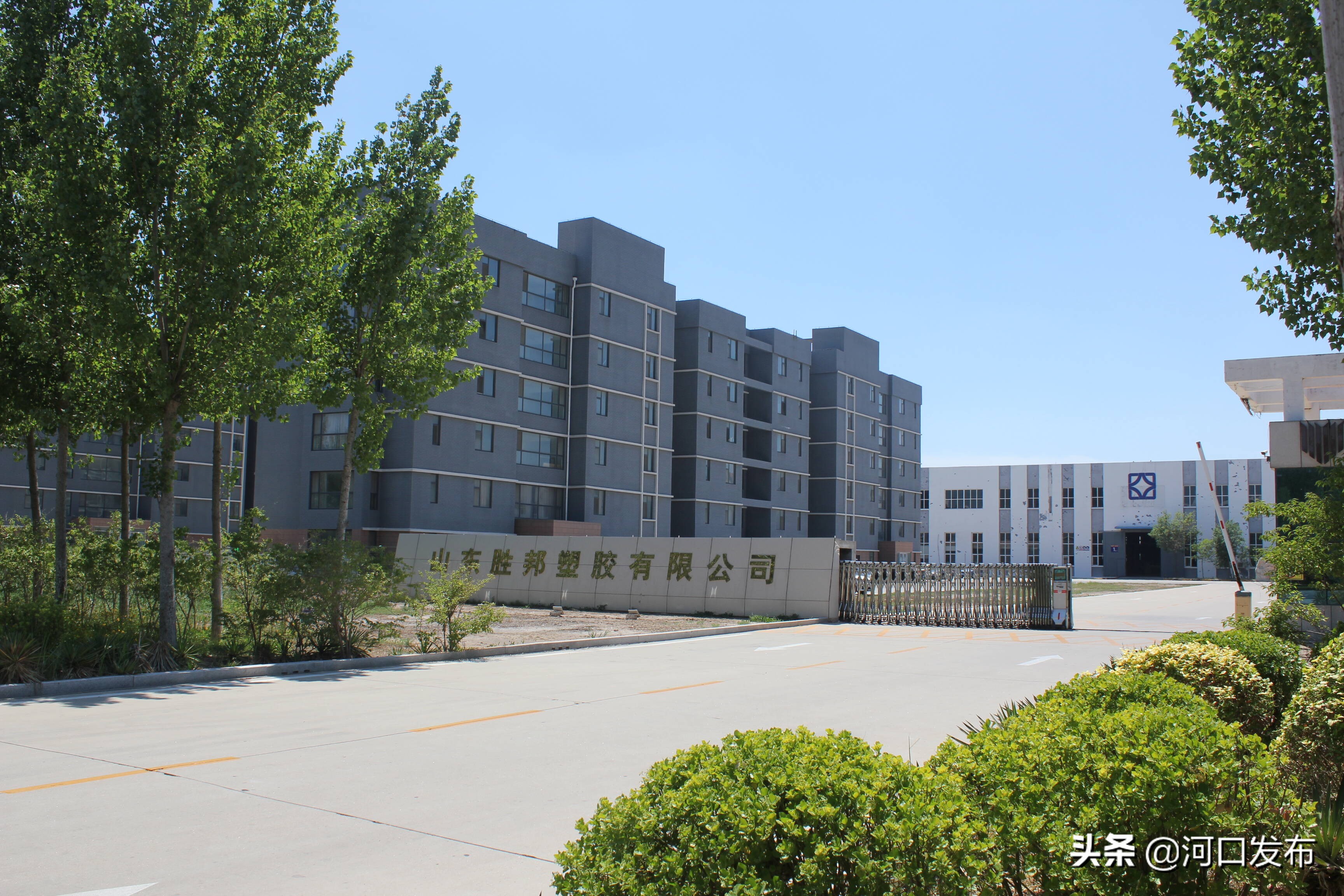 好品山东发展集团有限公司,好品山东品牌管理有限公司