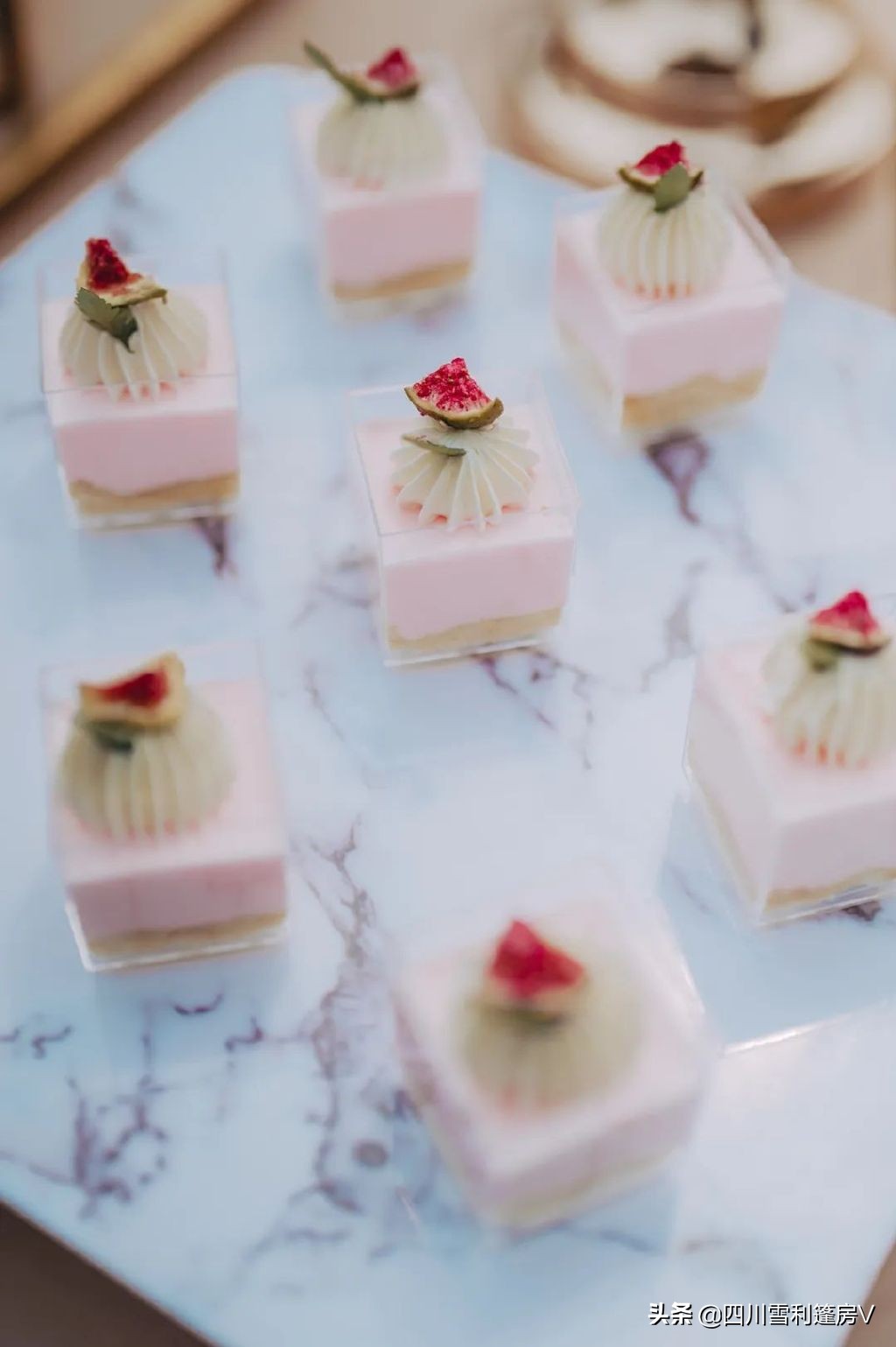 馨野奢520活动回顾|“不期而遇，向野而生”，用爱邂逅甜蜜与浪漫