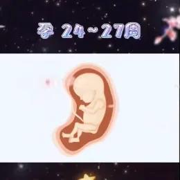 胎儿健康发育的基本知识,十秒钟带你了解胎儿发育