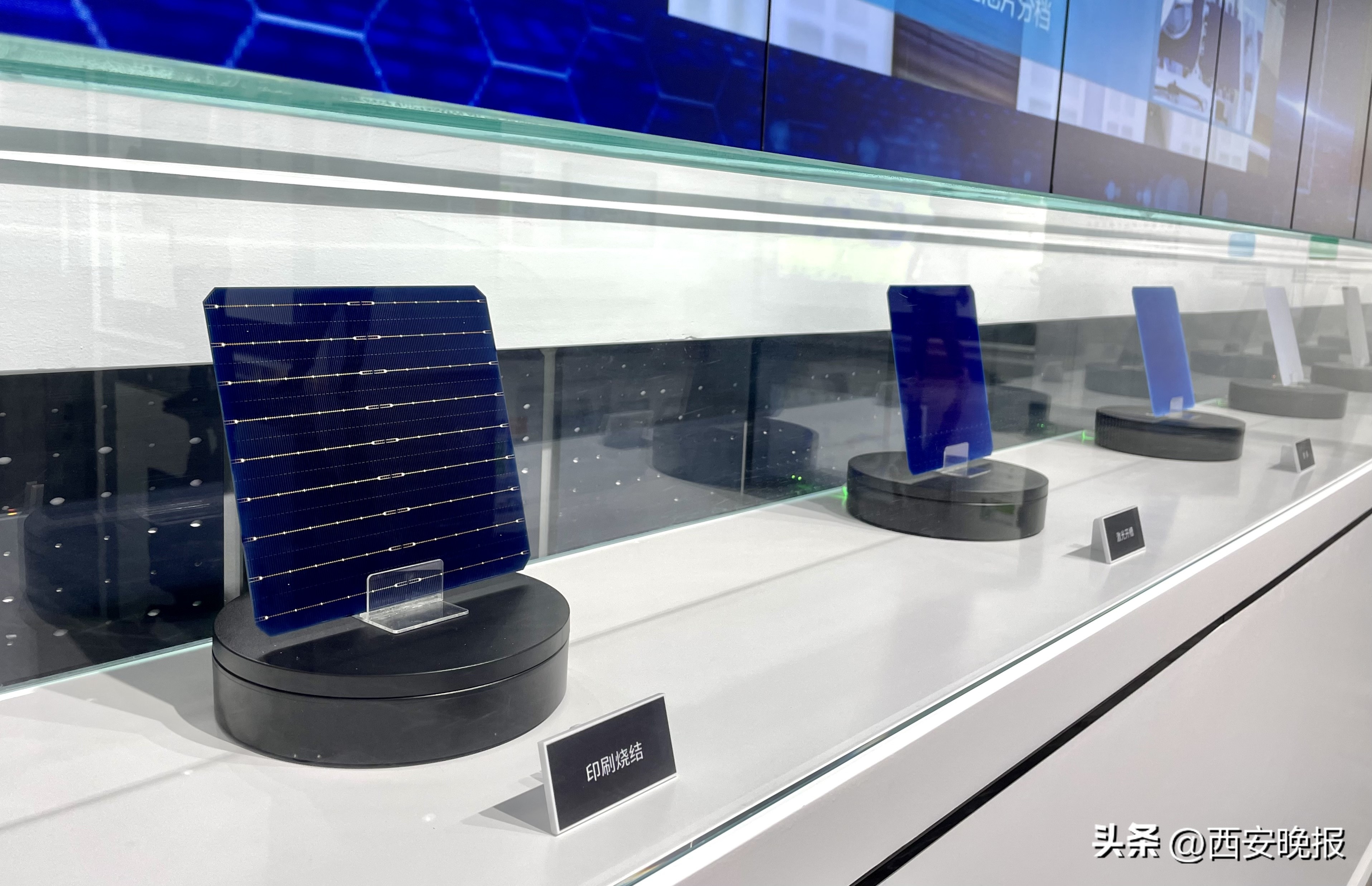 隆基乐叶光伏二期三车间,隆基乐叶光伏组件三车间