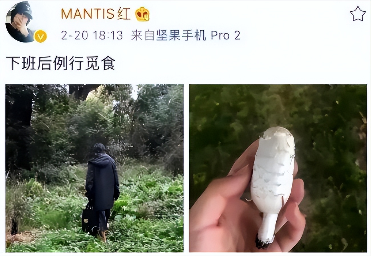 节俭女孩乔桑抖音,90后女孩乔桑