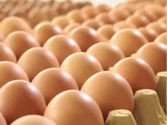 鸡蛋买回来要不要洗一下再放冰箱,鸡蛋买回家就放进冰箱