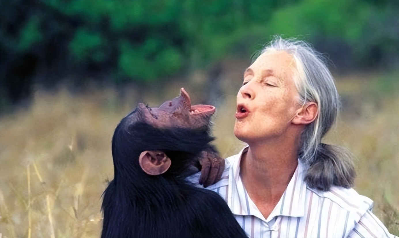 人类动物能混血吗,人类真的能杂交吗