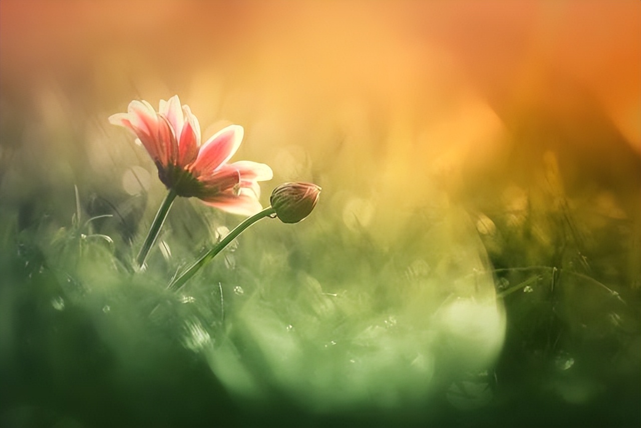 报复一个人最好的行为,任何时候不要撕破脸不要报复