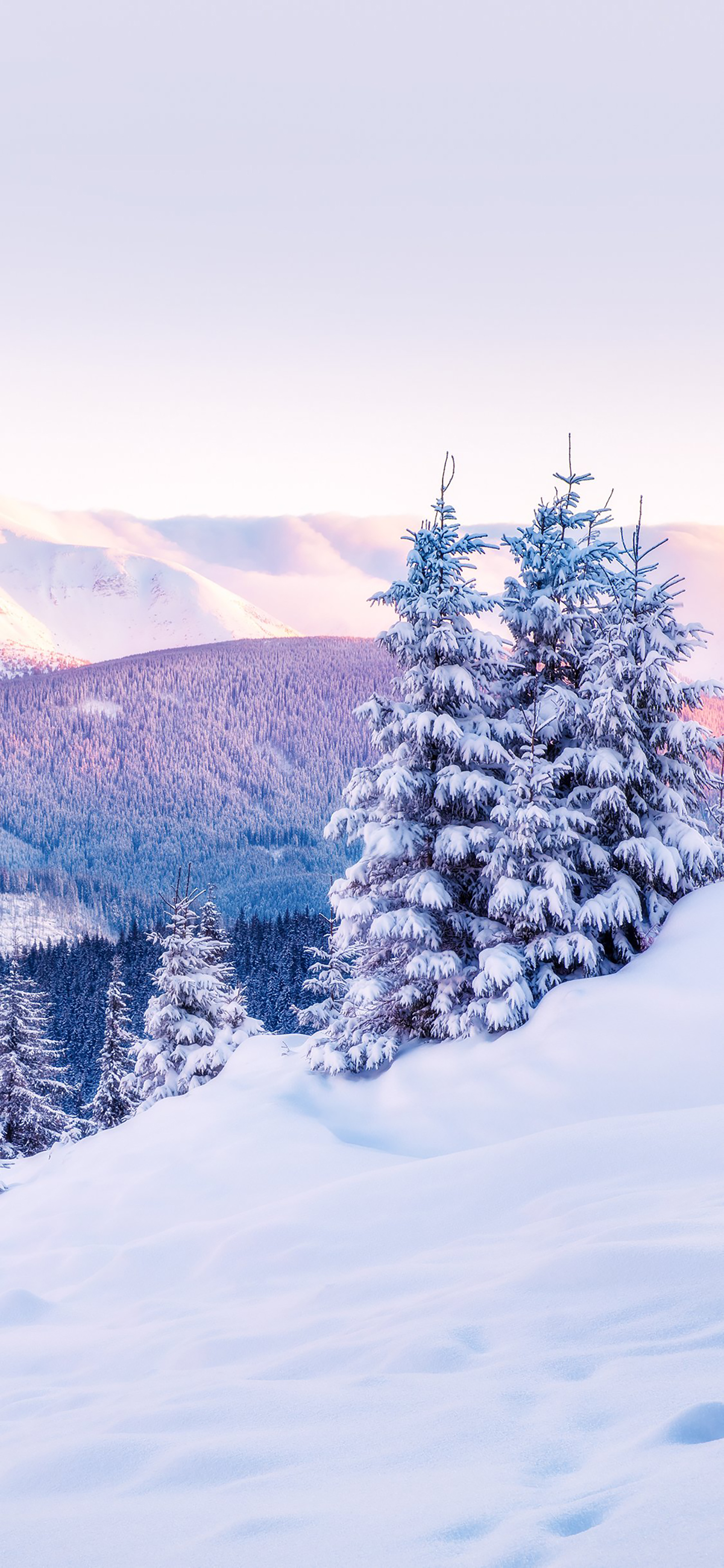 大海大自然风景壁纸,壁纸风景动态大自然