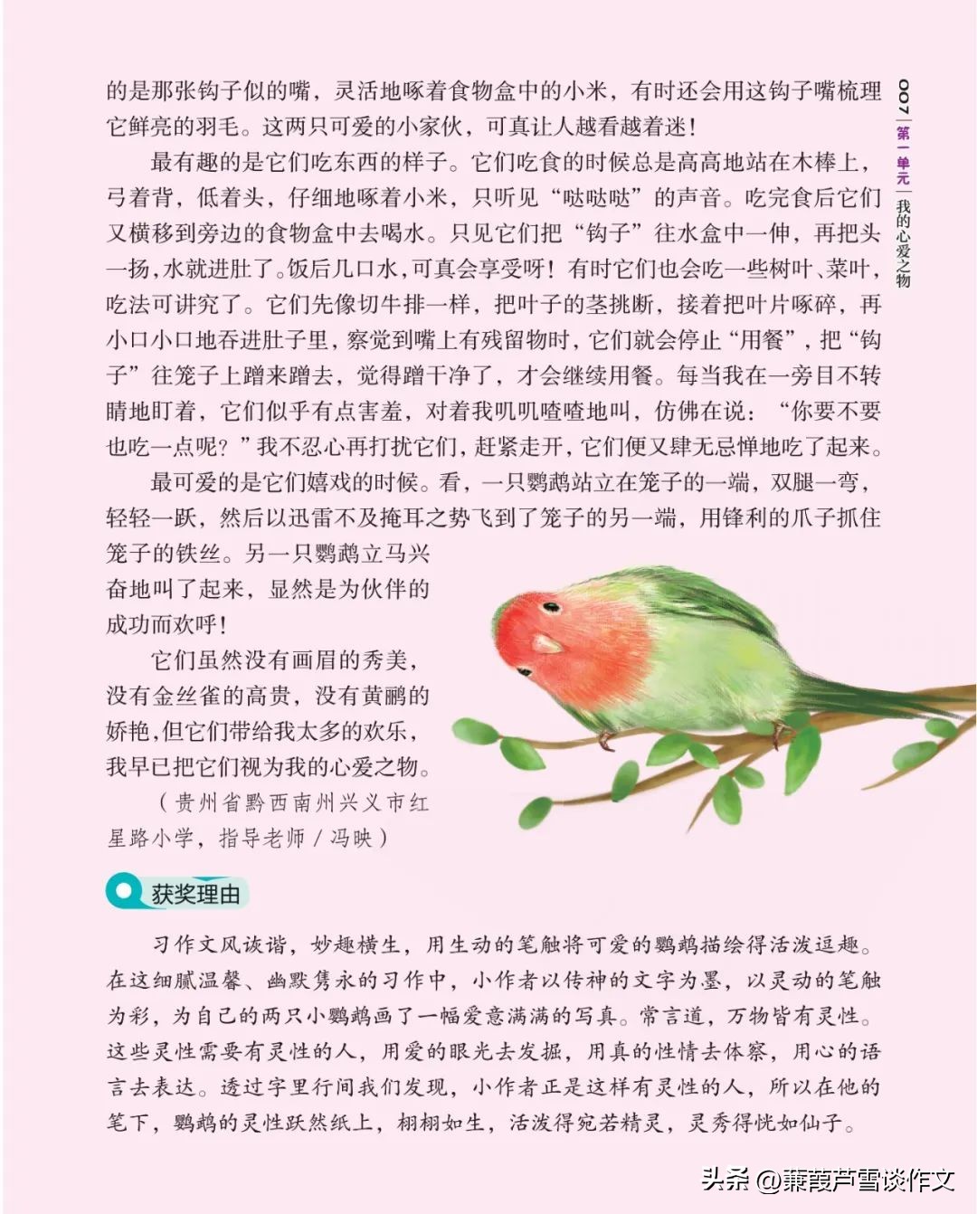 期末复习初中语文作文,期末复习作文600字初一