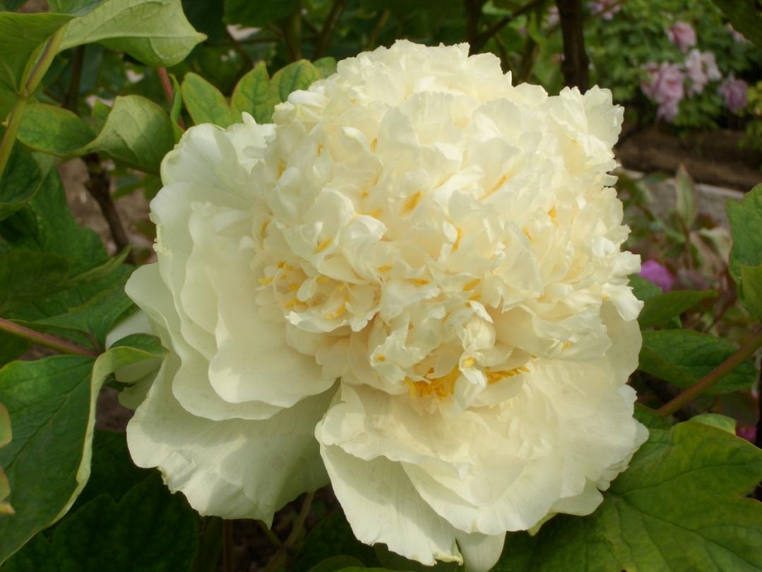 小众公园北京,北京欧式小众公园