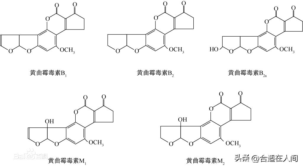 小苏打和食用碱哪个去除黄曲霉素,豆浆机发霉了怎么样去除黄曲霉素