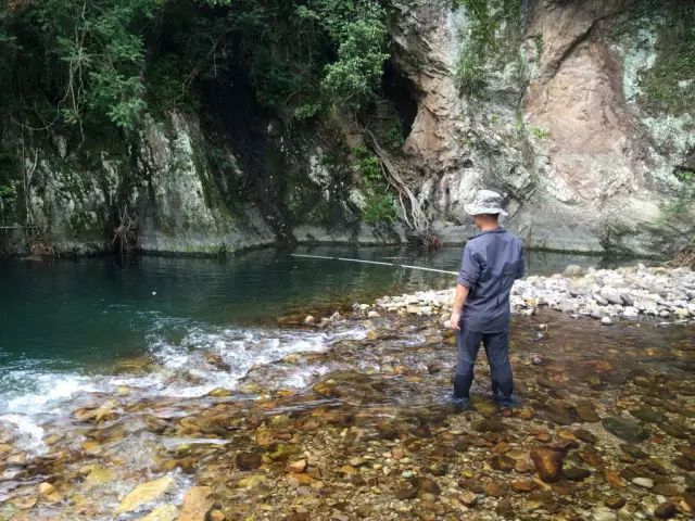 这鱼只生活在清澈水域，肉味极为鲜美，我们叫、溪哥