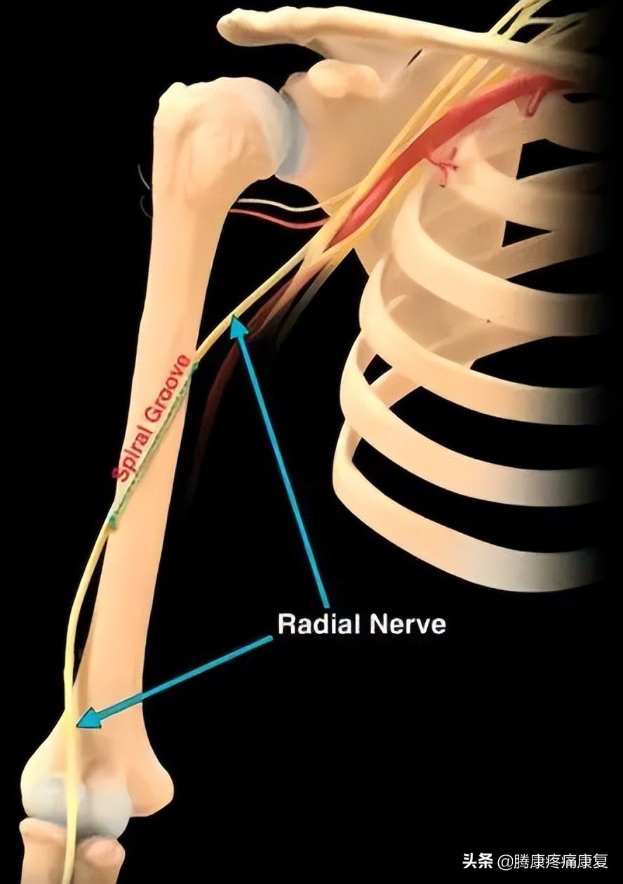 胳膊与肩膀相连处疼痛是什么原因,左胳膊上臂疼痛是什么原因造成的