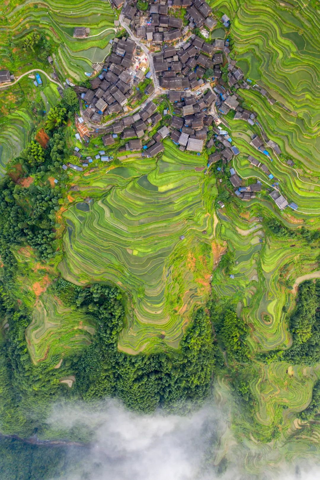 如何看懂中国第一山地省的多彩文化史诗?