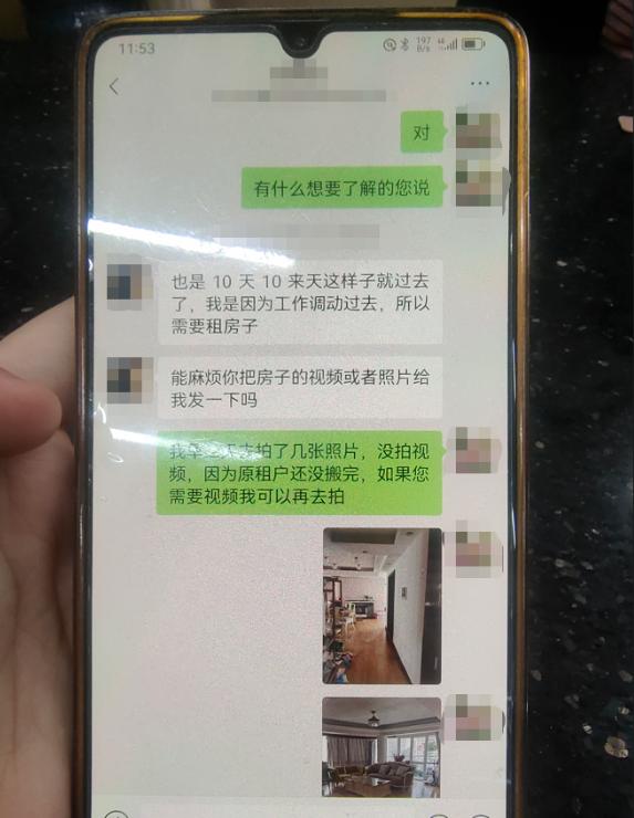 房东杀猪盘租客被骗,房东租房杀猪盘