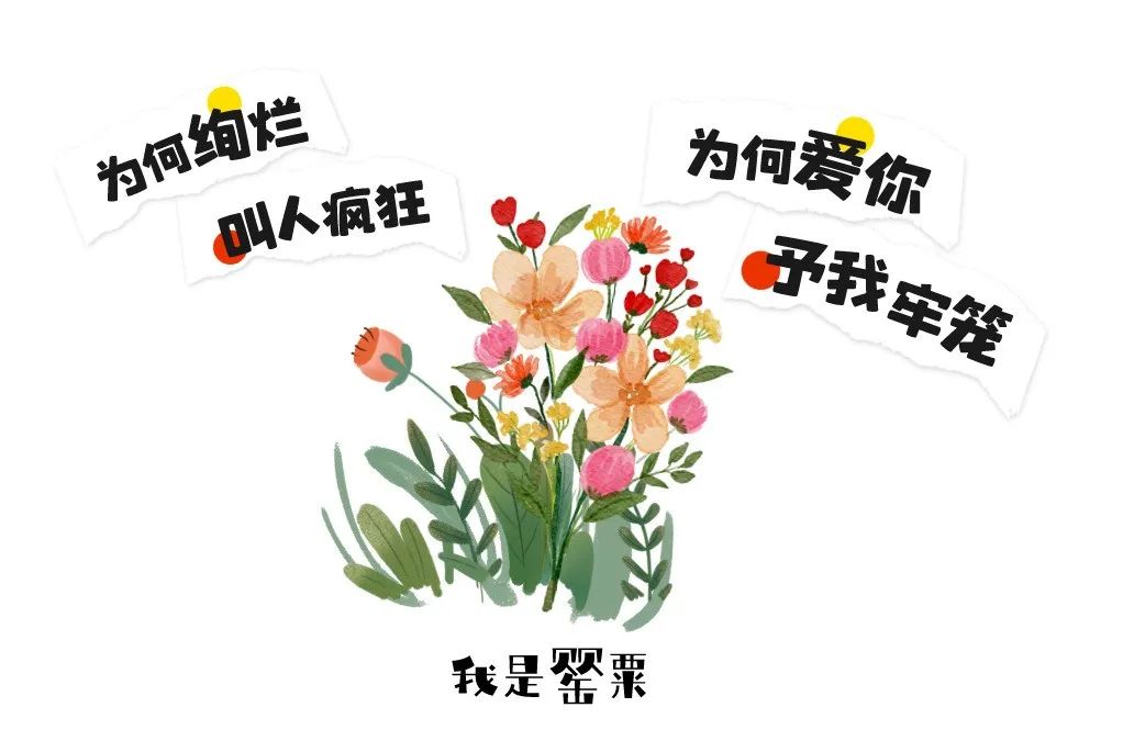 离谱！六旬老汉为治胃病竟在自家菜园种植500多株*粟罂**