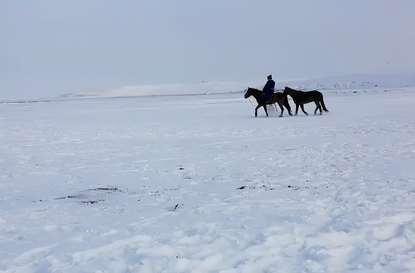 倪匡风流才子,倪匡酒色财气