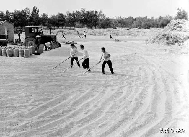 凤凰牌旧自行车值多少钱一辆,80年代的凤凰自行车收藏价值高吗