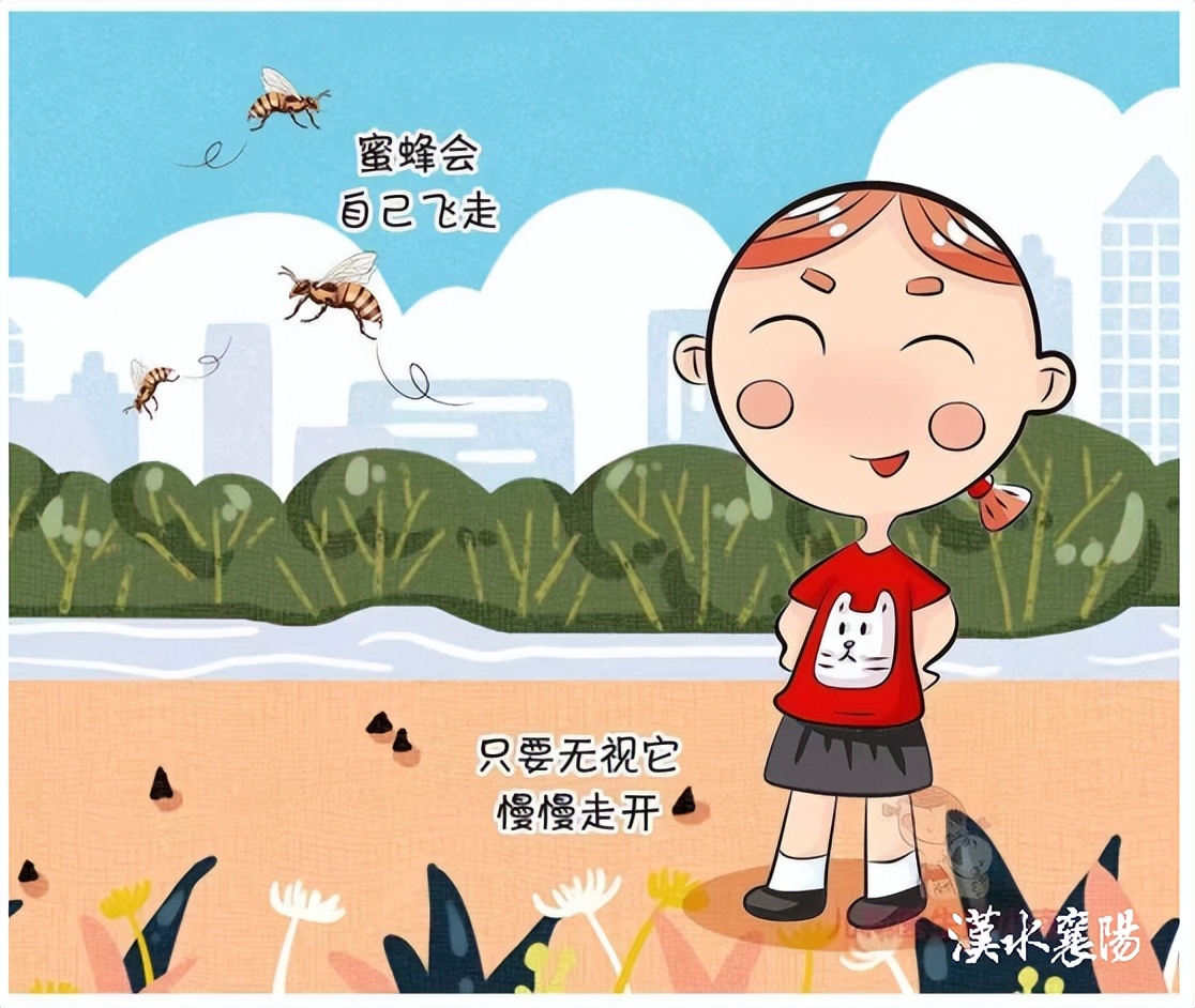 第1健康丨被“勤劳园丁”蜇伤,牢记4个急救原则