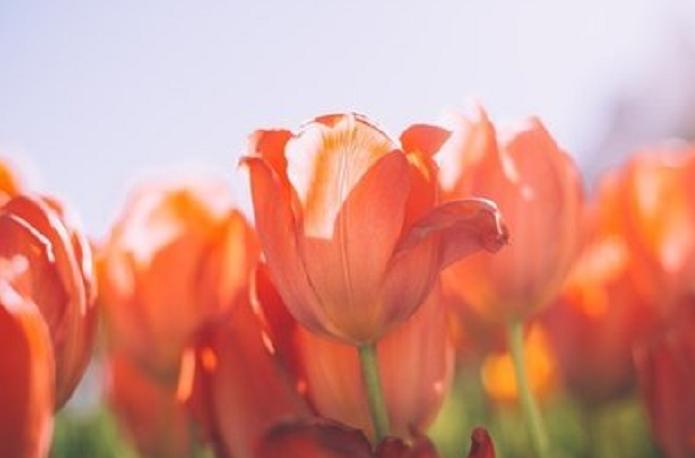 为什么女人就一定要嫁人呢,女人一定要嫁豪门的吗