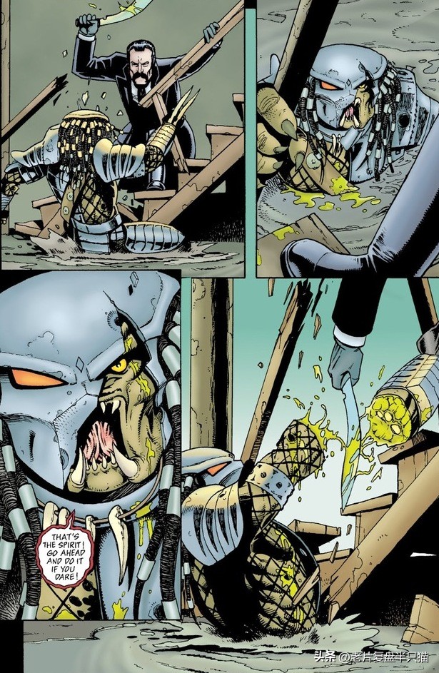 铁血战士系列和异形系列,铁血战士进化铁血异形