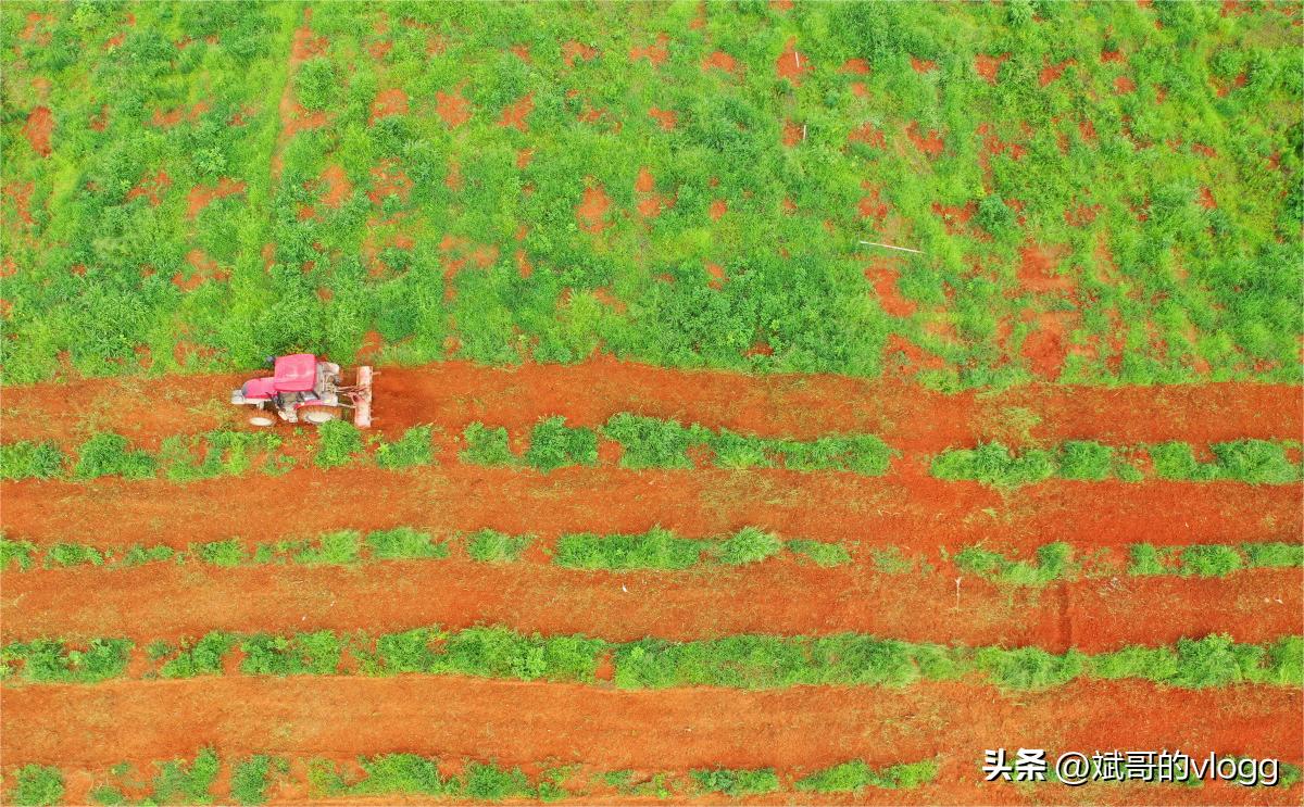 农民闯市场指南,农民如何闯市场