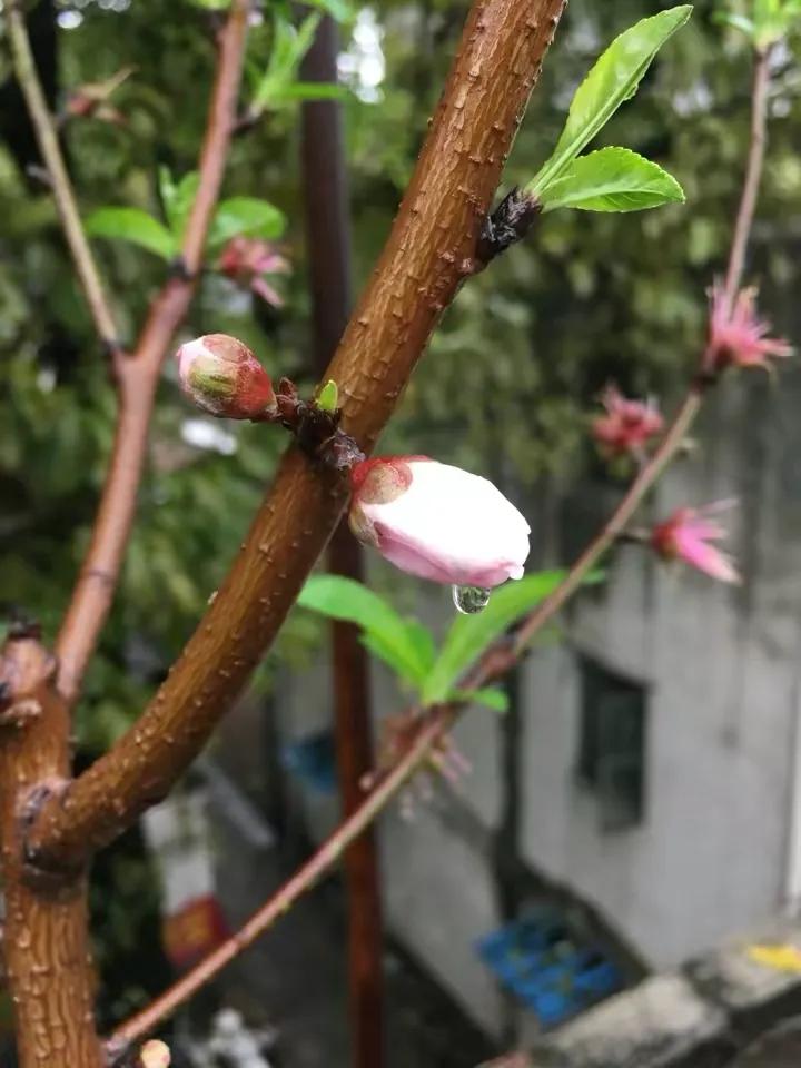 如何花最少的钱改造出租屋,怎样花最少的钱布置出租房