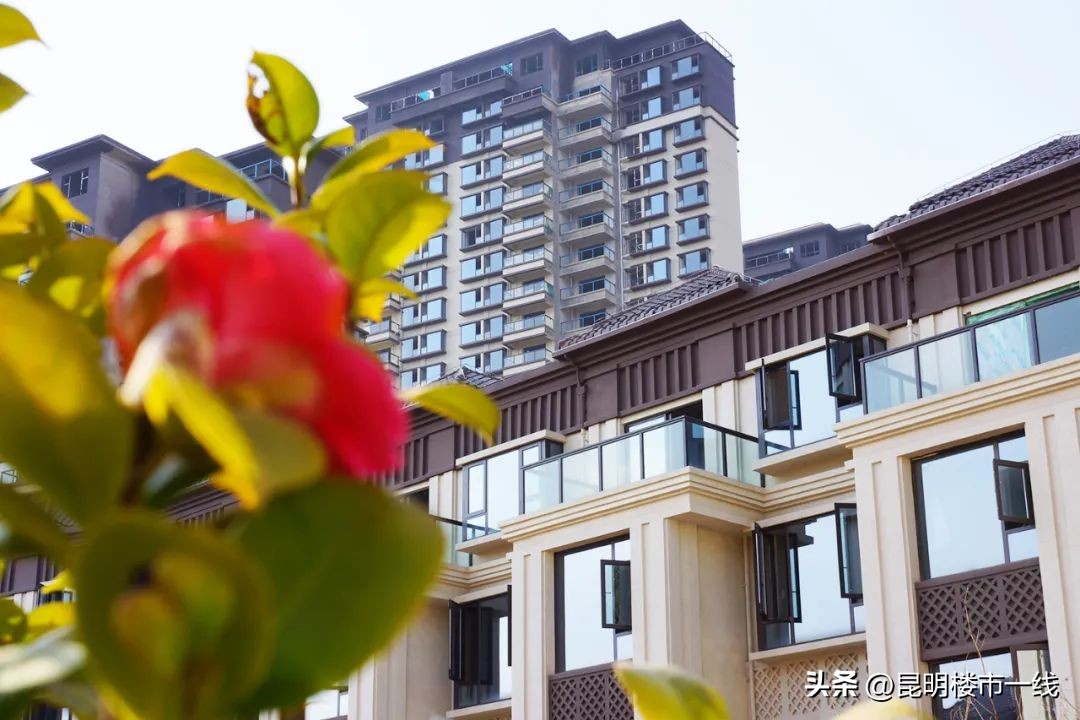 五华区买房攻略新手必看,狂飙楼市