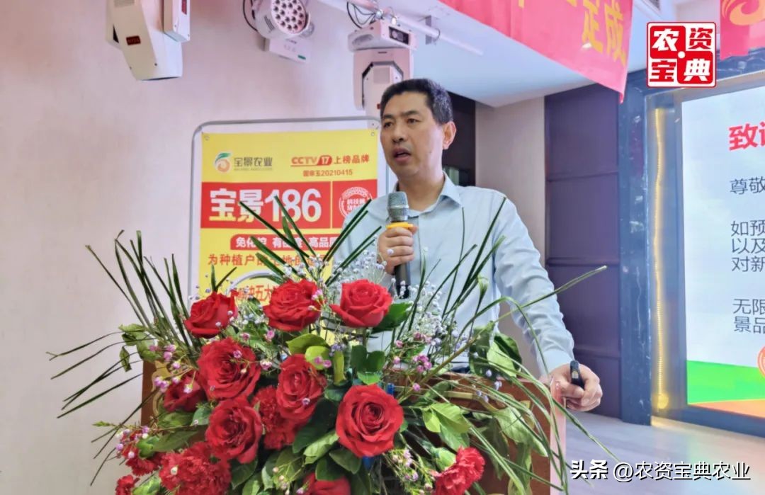 宝景666比郑单958增产多少,宝景666玉米种多少钱一袋